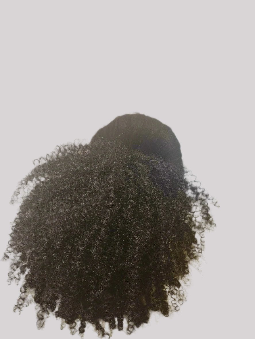 Raven's Spring Twist Drawstring Ponytail