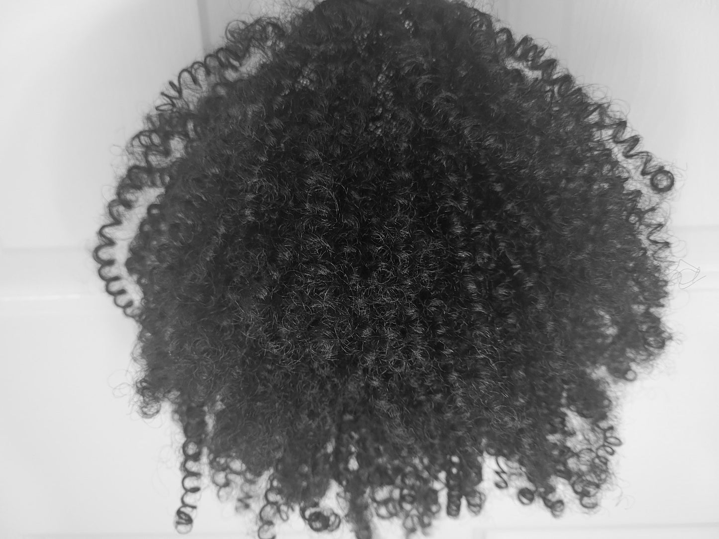 Raven's Spring Twist Drawstring Ponytail